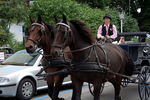 Traditioneller Bauernmarkt Mondsee 6748761