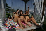 Spring Break Reunion Abend 6766569