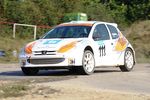 Rallycross EM am Nordring Fuglau 6792079