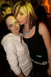 Ballermann Party 6873752