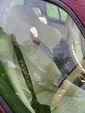 VW Treffen 2005 702376