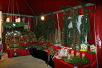 Advent in Mondsee 7114009