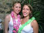 Aloha Party 712939