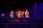 Circus Roncalli 7137916