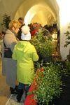 Advent in Mondsee 7157256