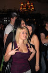 Absolut Wild Style 7160184
