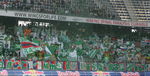 FC Red Bull Salzburg - SK Rapid Wien 7175802