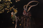 Waldviertler Krampusspektakel 7176387