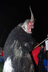 Waldviertler Krampusspektakel 7176437