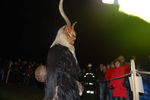 Waldviertler Krampusspektakel 7176438