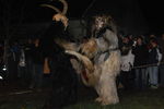 Waldviertler Krampusspektakel 7176457