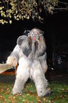 Waldviertler Krampusspektakel 7176461