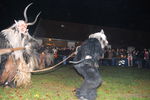 Waldviertler Krampusspektakel 7176474