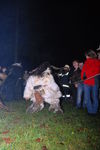 Waldviertler Krampusspektakel 7176478