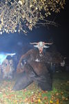 Waldviertler Krampusspektakel 7176487