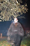 Waldviertler Krampusspektakel 7176497