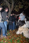 Waldviertler Krampusspektakel 7176499