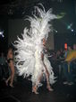 Las Vegas Night mit Erotik Show 717903