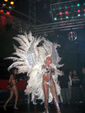 Las Vegas Night mit Erotik Show 717912