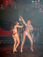 Las Vegas Night mit Erotik Show 717917