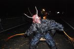 2. Krampus und Perchtentreiben 7217748