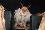 2. Krampus und Perchtentreiben 7217796