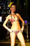 Fashion Night 7251543