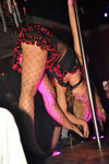 Muschi Club 7293376