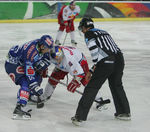 Erste Bank Eishockey Liga 2009/2010  7295850