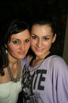 Megaparty 7386440