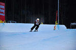 FIS Skicross Weltcup 7387846