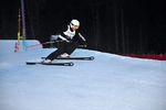 FIS Skicross Weltcup 7387848