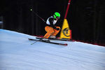 FIS Skicross Weltcup 7387850