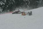 Snow Speedhill Race - by -todi- 7591716