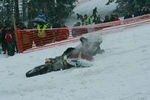 Snow Speedhill Race - by -todi- 7591743