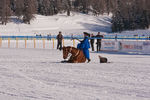 White Turf- International Horse Races