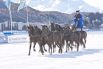 White Turf- International Horse Races 7595758