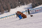 White Turf- International Horse Races 7595759