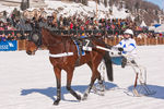 White Turf- International Horse Races 7595762