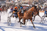White Turf- International Horse Races 7595768