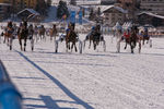 White Turf- International Horse Races 7595772