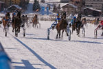 White Turf- International Horse Races 7595773