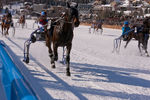 White Turf- International Horse Races 7595776