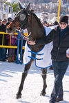 White Turf- International Horse Races 7595778