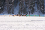 White Turf- International Horse Races 7595790