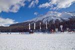 White Turf- International Horse Races 7595866