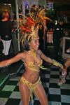 Carneval in Rio and the best Samba Show 7607941