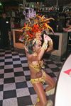 Carneval in Rio and the best Samba Show 7607943