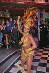 Carneval in Rio and the best Samba Show 7607945