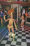 Carneval in Rio and the best Samba Show 7607948